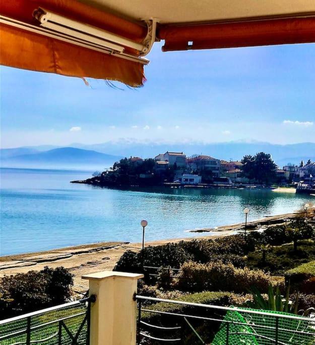 Golden Coast Panagias Apartment 沃洛斯 外观 照片